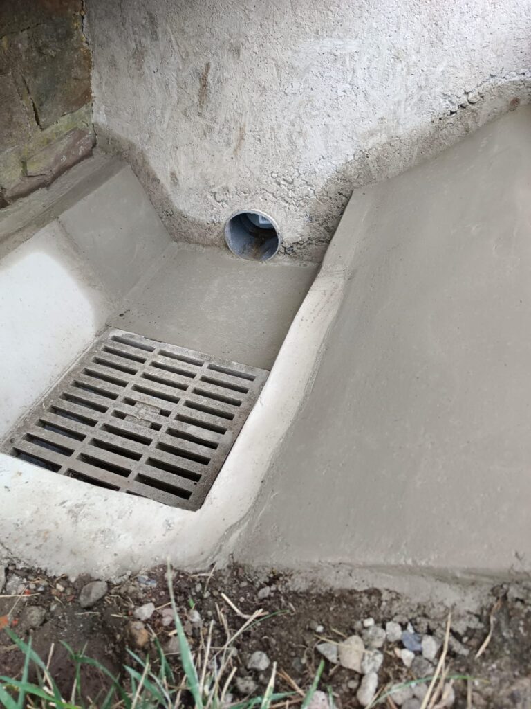 photo 2026 03 04 12 25 23 5